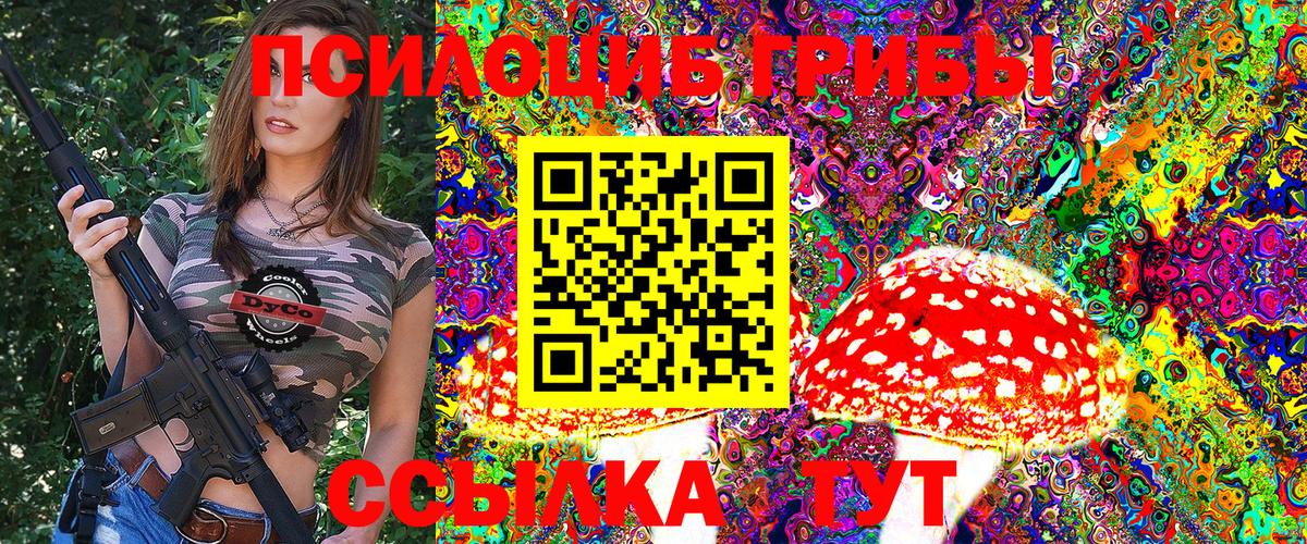 Псилоцибиновые грибы Psilocybe Кострома